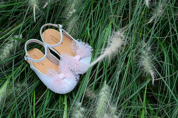 BAS_0041